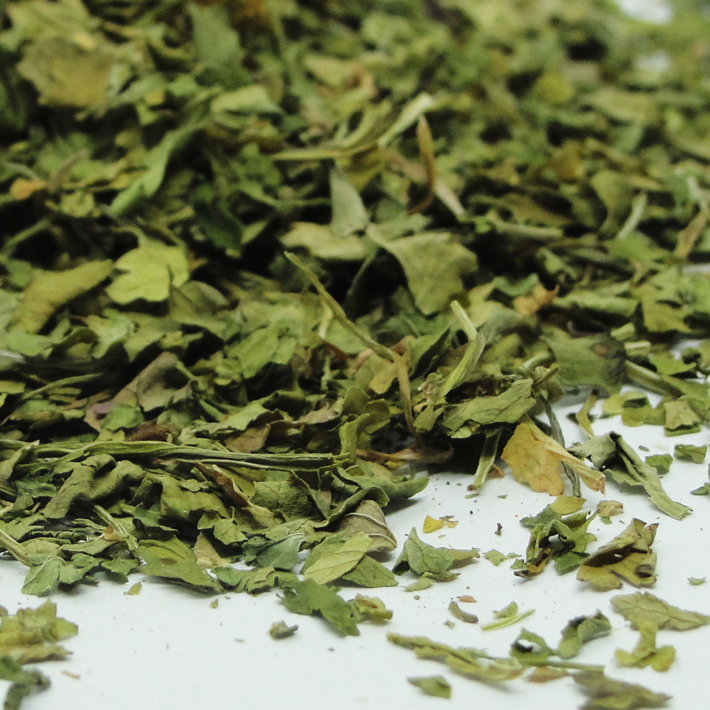 Hojas de Cilantro