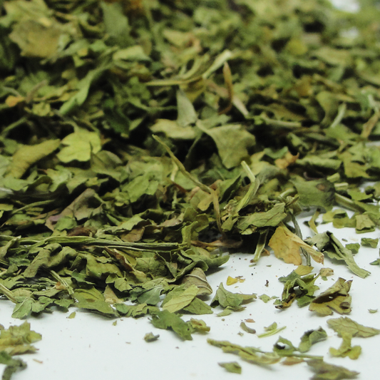 Hojas de Cilantro