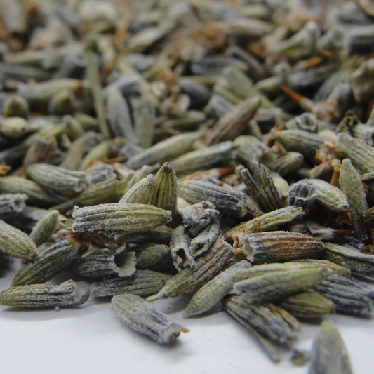 Lavanda