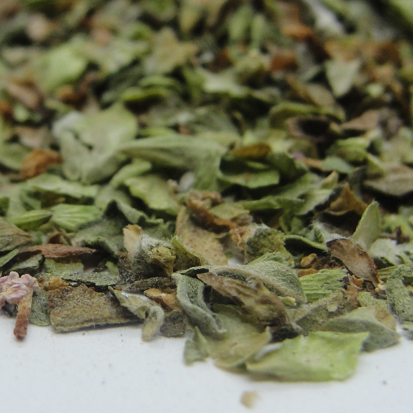 Oregano Entero