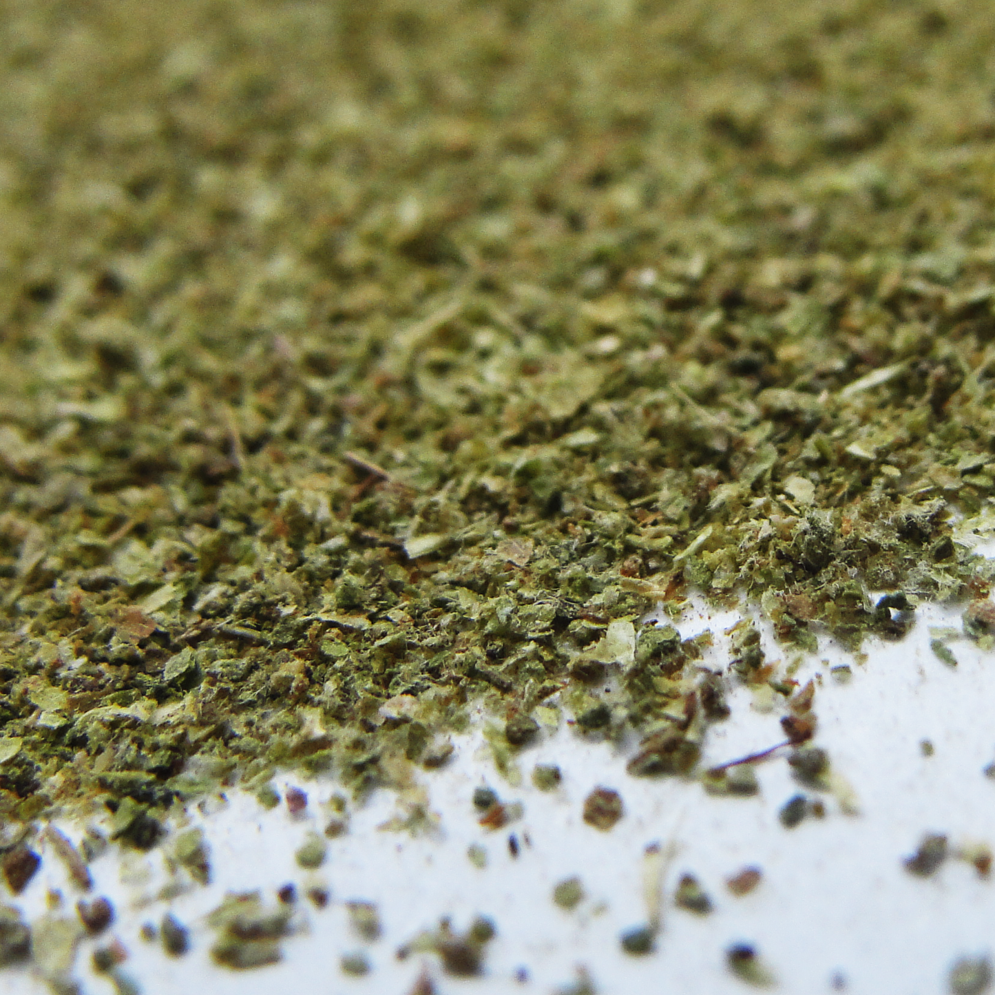 Oregano Molido