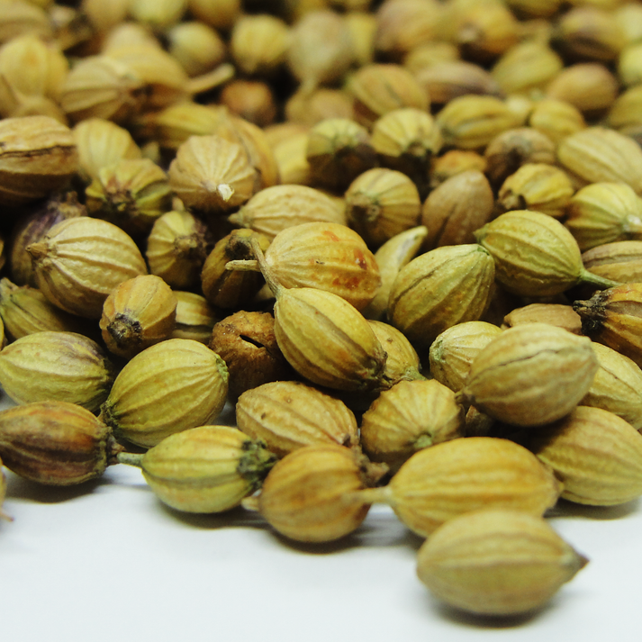Semillas de cilantro hindú enteras Venta y despacho a todo Chile maluku